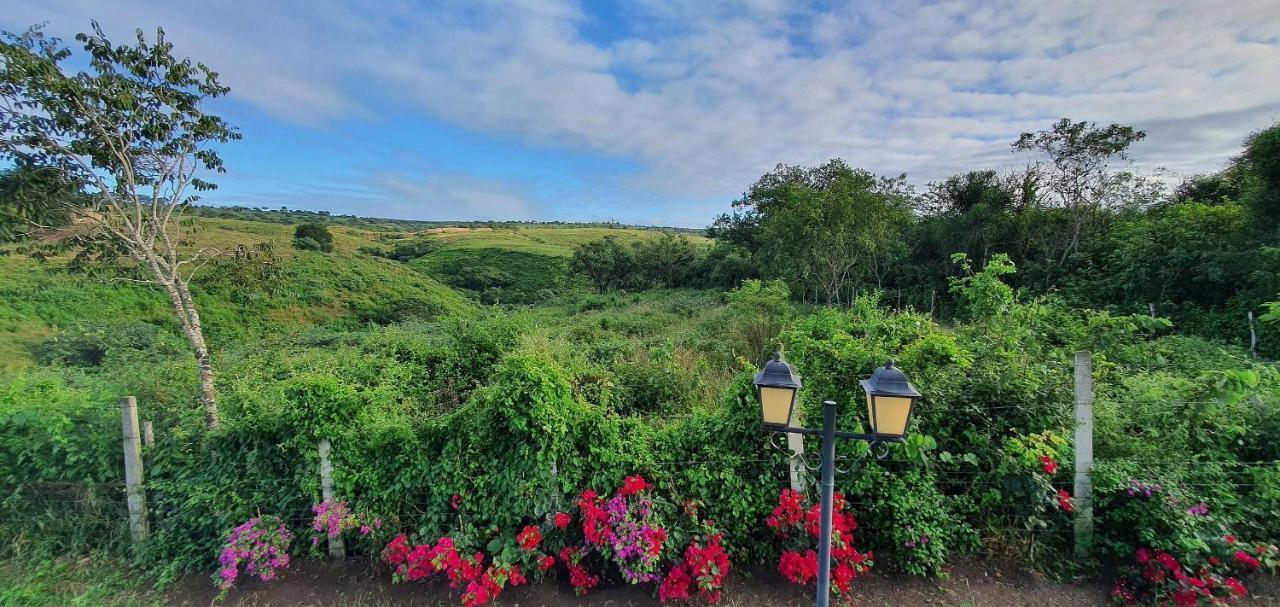 Sonho De - 928 * Gravata (Gravata, Pernambuco)